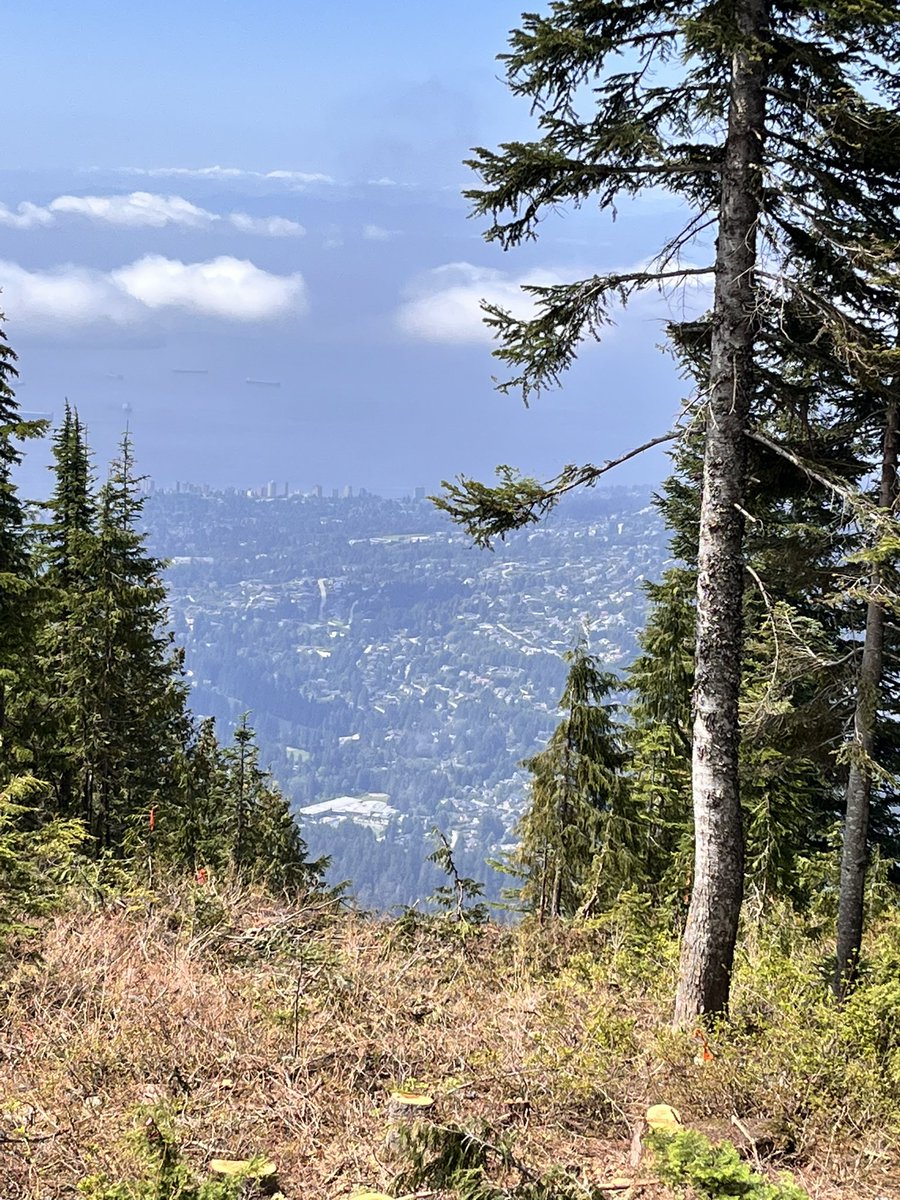 Great way to officially kick off the summer doing the Grouse Grind‼️

Time: 90 minutes