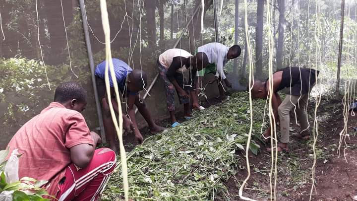 PermoafriCentre's tweet photo. Hello global friends,  support with tubes for potting materials for the moringa olifera seedlings, for the children project, bellow is the project link 
https://t.co/SZQxuJcJwV send donation to PayPal link(permoafrica@gmail.com) 
We need 500$ for the project https://t.co/5PtKQLdZ7I