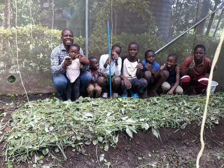 PermoafriCentre's tweet photo. Hello global friends,  support with tubes for potting materials for the moringa olifera seedlings, for the children project, bellow is the project link 
https://t.co/SZQxuJcJwV send donation to PayPal link(permoafrica@gmail.com) 
We need 500$ for the project https://t.co/5PtKQLdZ7I