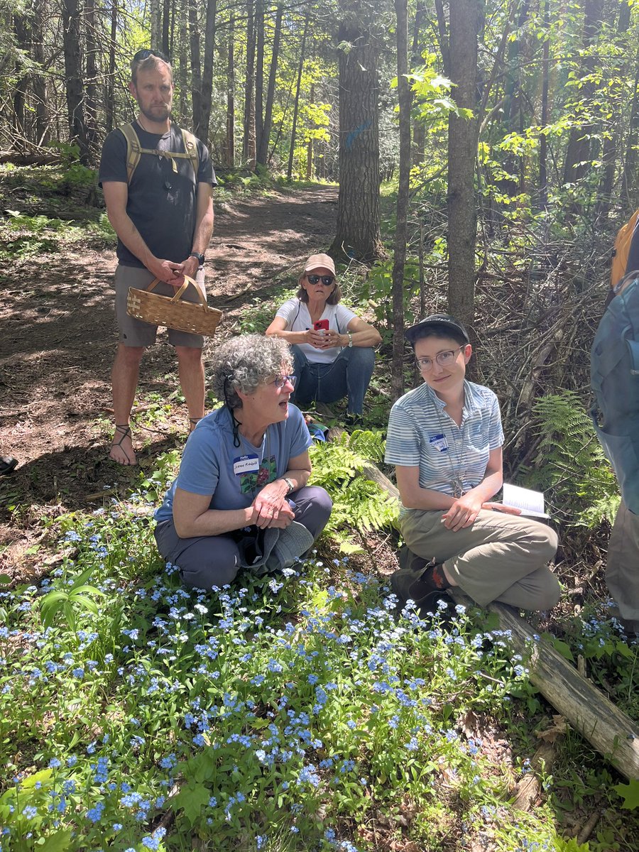 Scenes from our Vermont #botany #bootcamp at Northbranch Nature Center w/ dream team @Sarah_K_Morris @bertrandblack & @FrancesArtist #taxonomy #illustration and #naturalhistory - great field station - great students!