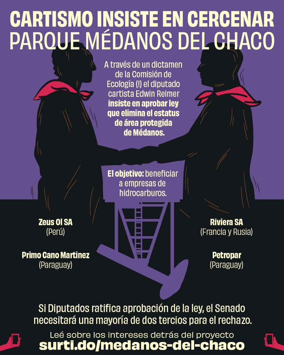 El diputado cartista Edwin Reimer (ex Fecoprod) insiste en eliminar el estatus de área protegida del Parque Médanos del Chaco para beneficiar a empresas de hidrocarburos.

Diputados deben decidir si acompañan el rechazo del Senado al proyecto.