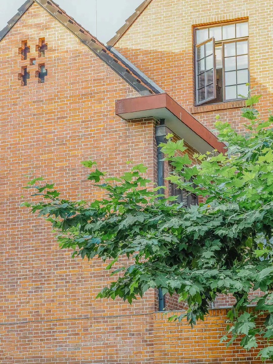 colangeloTest's tweet image. I will try my best to be good and live proudly