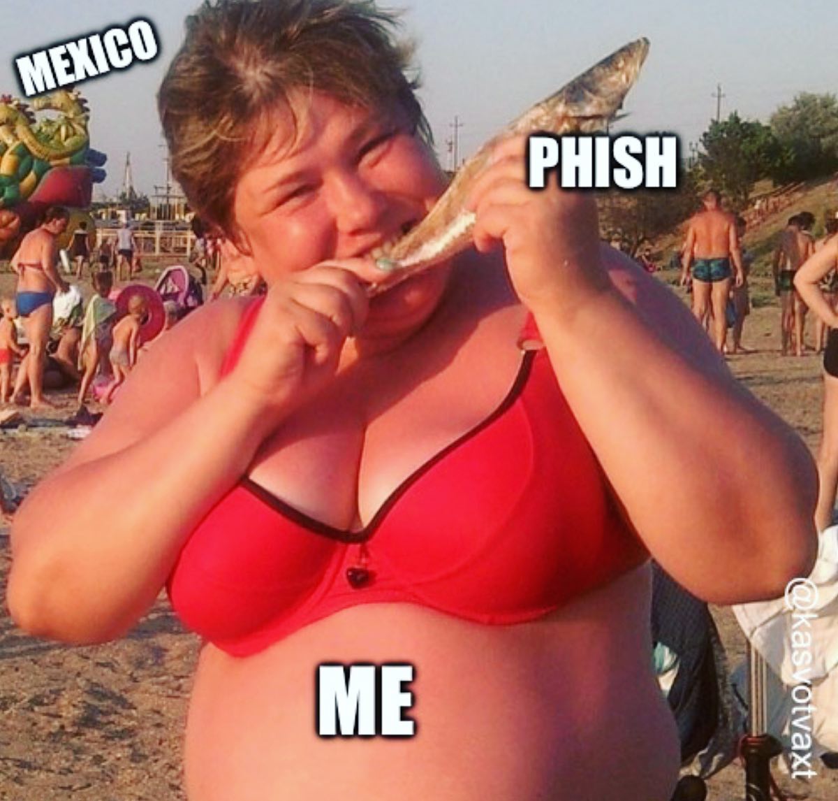 BROWSE HERE: instagram.com/p/CpK3oVxuRF_/ | Taking it all in… 🐠🐠🐠 #phish #phishmemes #phishmexico #phexico #phishtour… | Taking it all in… 🐠🐠🐠 #phish #phishmemes #phishmexico #phexico #phishtour #livephish #phishlove... #phishmeme #mikegordon