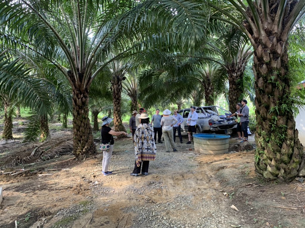 In <a href="/NuffieldInt/">Nuffield International Farming Scholars</a> Global Focus Program, you travel with a group of scholars to several countries to learn about ag systems around the world. So far? Singapore, Borneo, and next up? Denmark! We’re on our way, watch out! #agriculture #conservation