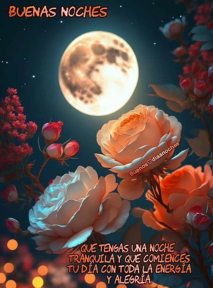 Alvarex (@alvarex2808) on Twitter photo Que tengan una linda Noche🌇🧡🌼
#JuntosHaciaLaProsperidad
<a href="/NicolasMaduro/">Nicolás Maduro</a> <a href="/Alvarex2808/">Alvarex</a> <a href="/jesus372333/">mildre</a> <a href="/militzahergar/">Militza Hernández</a> <a href="/Rextwit12/">Rextwit</a> <a href="/LouRex28/">LouRex</a> <a href="/MariaGu82631195/">💞💕100%Twitera 💕💞🥰</a> <a href="/KarenBo002/">KarenBo2</a> <a href="/Evangel08625120/">🌹Evangelina🌹💞💫💯</a> <a href="/ville50349/">Villegas</a> <a href="/Neyda21708001/">Neyda</a> <a href="/DrissGonzalez21/">Driss Gonzalez</a> <a href="/Albanis61923370/">Albanis</a> <a href="/carynes603/">carynes603</a> <a href="/Josefinc055/">Josefina</a> <a href="/josefin602/">josefina</a> Que tengan una linda Noche🌇🧡🌼
#JuntosHaciaLaProsperidad
<a href="/NicolasMaduro/">Nicolás Maduro</a> <a href="/Alvarex2808/">Alvarex</a> <a href="/jesus372333/">mildre</a> <a href="/militzahergar/">Militza Hernández</a> <a href="/Rextwit12/">Rextwit</a> <a href="/LouRex28/">LouRex</a> <a href="/MariaGu82631195/">💞💕100%Twitera 💕💞🥰</a> <a href="/KarenBo002/">KarenBo2</a> <a href="/Evangel08625120/">🌹Evangelina🌹💞💫💯</a> <a href="/ville50349/">Villegas</a> <a href="/Neyda21708001/">Neyda</a> <a href="/DrissGonzalez21/">Driss Gonzalez</a> <a href="/Albanis61923370/">Albanis</a> <a href="/carynes603/">carynes603</a> <a href="/Josefinc055/">Josefina</a> <a href="/josefin602/">josefina</a>