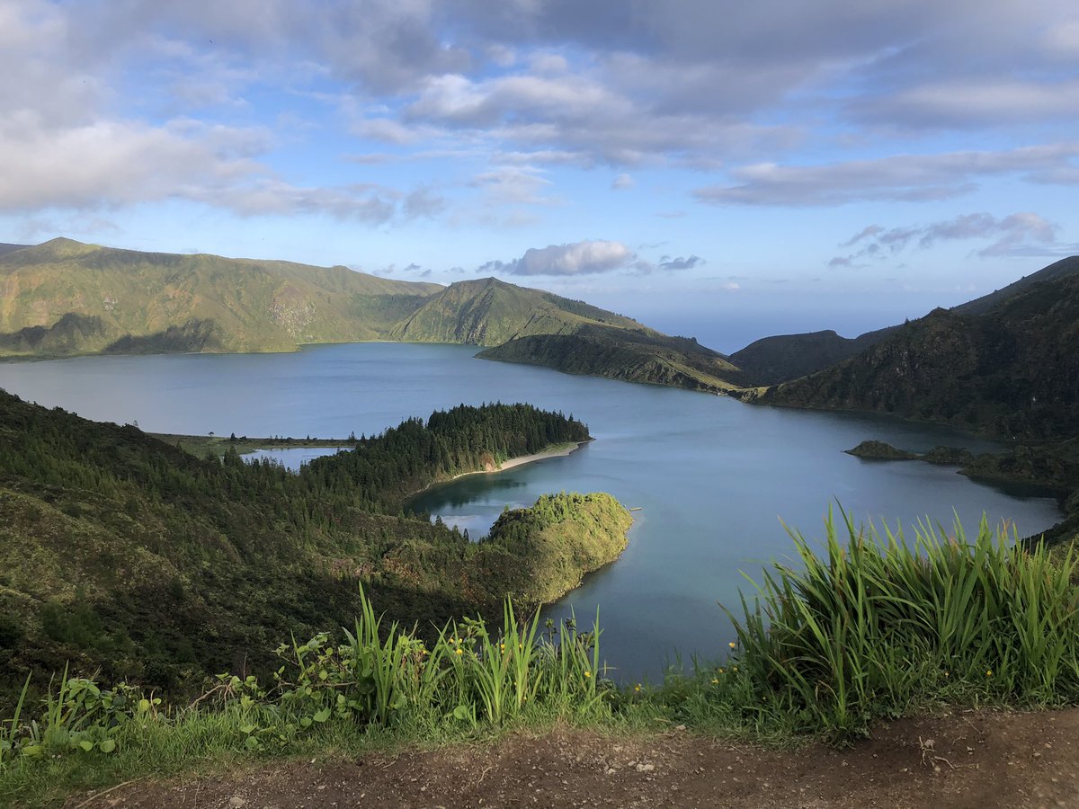 Z.Maria DaSilva tweet media