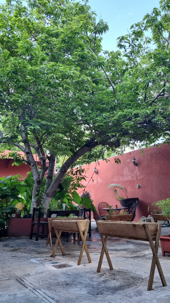 Después de un domingo intenso una fresca tarde en la Casa Del Flan.