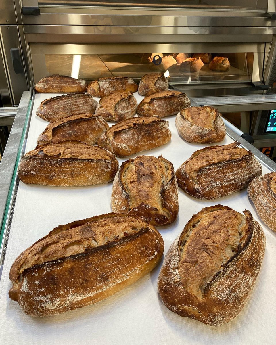 Grizzly Baked Goods in Christchurch, #NZ, know how to #bake! 
Grizzly produce the best handmade bread and #pastries. 🥖
No wonder Grizzly use a Tagliavini Deck #Oven.
Best bread needs a great oven. 
Thanks, #Tagliavini 👍
#bread #breadmaking 
ow.ly/NGiH50OnlfP