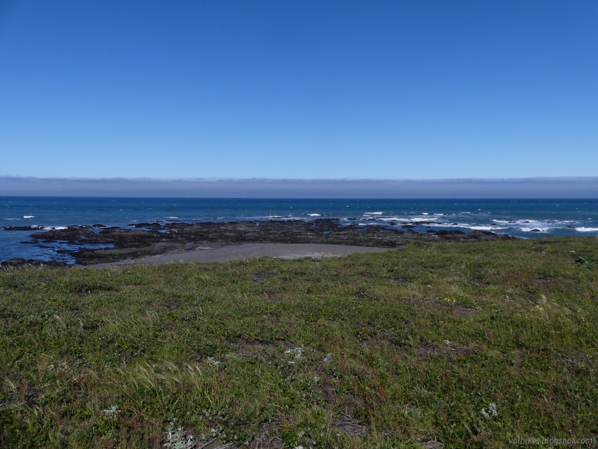 hikingchemist's tweet photo. A short day to finish on day 7 in the #KingRange on the #LostCoastTrail and more. Getting in a bit more #tidepooling and wandering the #dunes.
https://t.co/eWQ7UbKL3y
#hiking #backpacking #walking #trekking #crab #beach #nature #landscape #California #HumboldtCounty https://t.co/sGCAwzHglp
