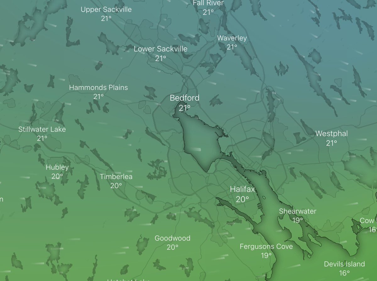 MediatorBen's tweet photo. ๐จSeeing folks ask about wind/fire direction๐จ
When weather reports "W 37 gust 55" or if you hear "Westerly" it means the wind is blowing OUT OF the West, or TOWARDS the East.
Share if this helps!
#Halifax #NovaScotia #NSFire #Tantallon #NSWeather #Sackville @HRMFireNews https://t.co/n6MdD5TwXL