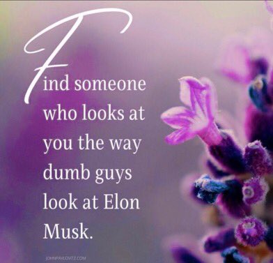 56blackcat's tweet photo. I’m looking... https://t.co/VAymTmihV6