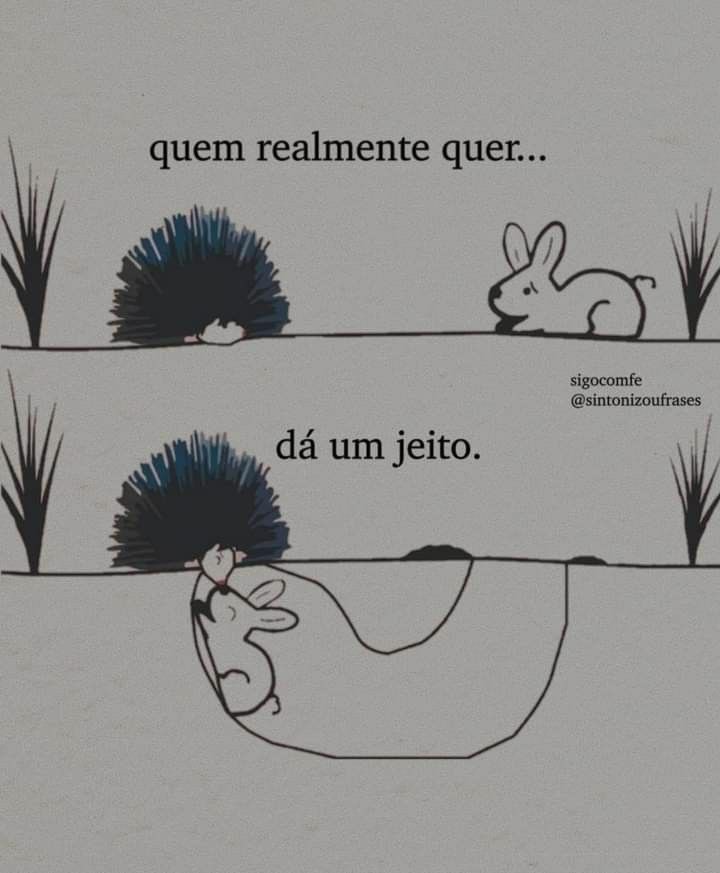 R e c i t e i (@souderecitar) on Twitter photo 