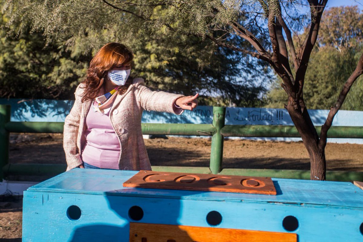 ines_byd's tweet photo. Hace 3 años,un día como hoy, Felipe y Gigante (búfalos de agua), y Coco el Yacaré; todos residentes del ex zoo Yastay de la Ciudad de La Rioja, llegaban a su nuevo hogar en @TekoveM .
En pleno aislamiento obligatorio, nosotros trabajábamos por la LIBERTAD.
@MLaura_Aguero https://t.co/ZxtugxMeW9