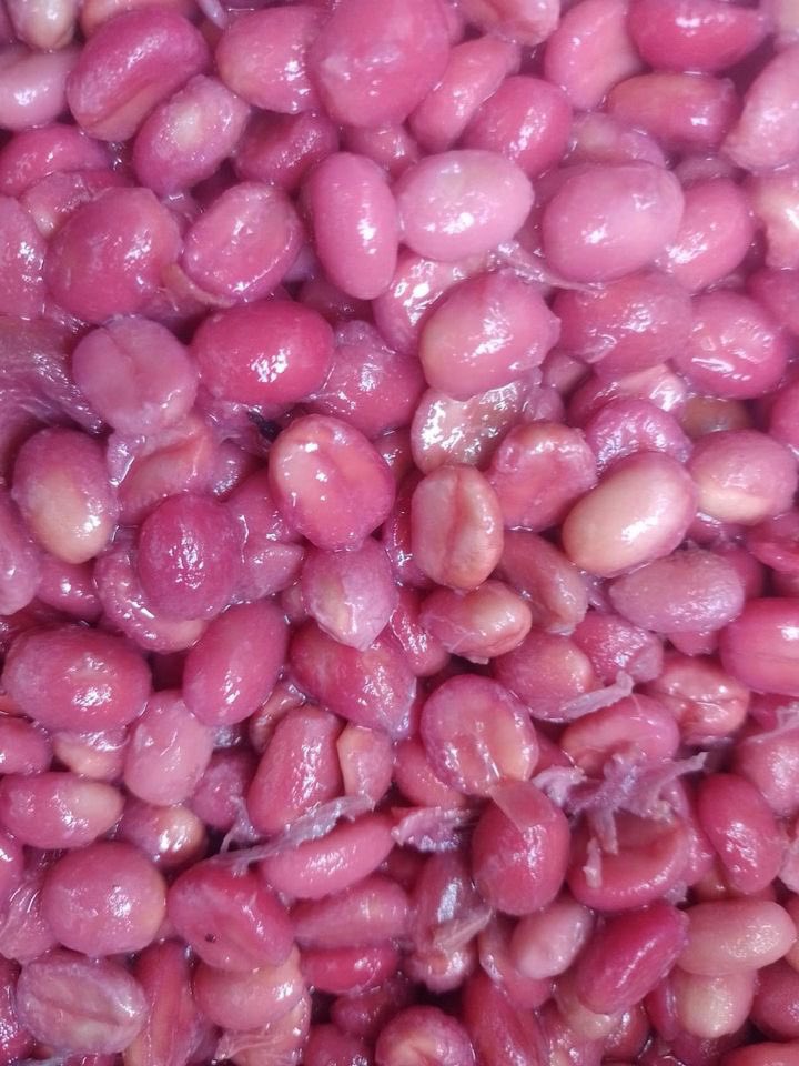 CafePranay's tweet photo. La magia del mosto en el café de especialidad https://t.co/3yY7vakObi