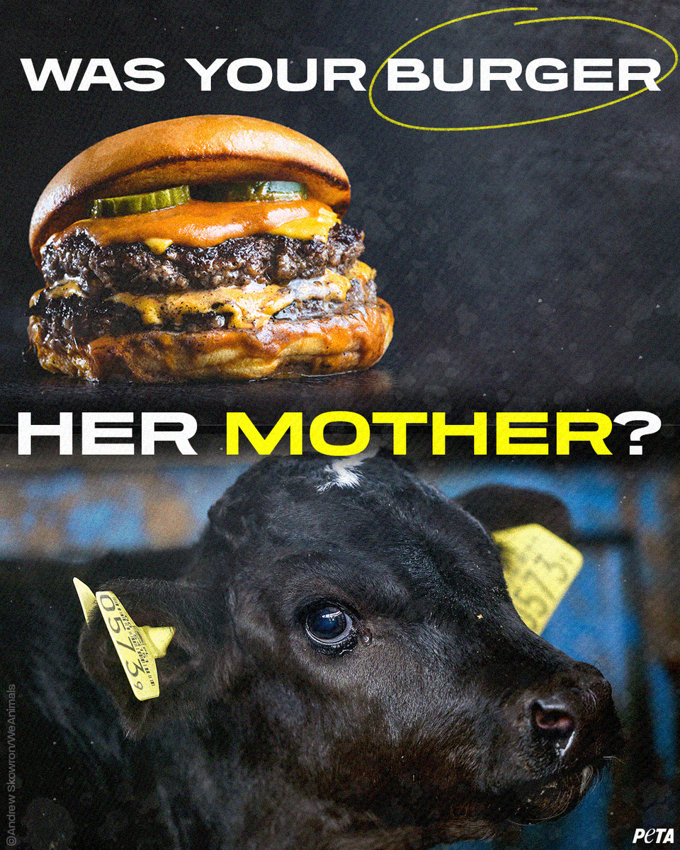 Think about that this #NationalHamburgerDay.