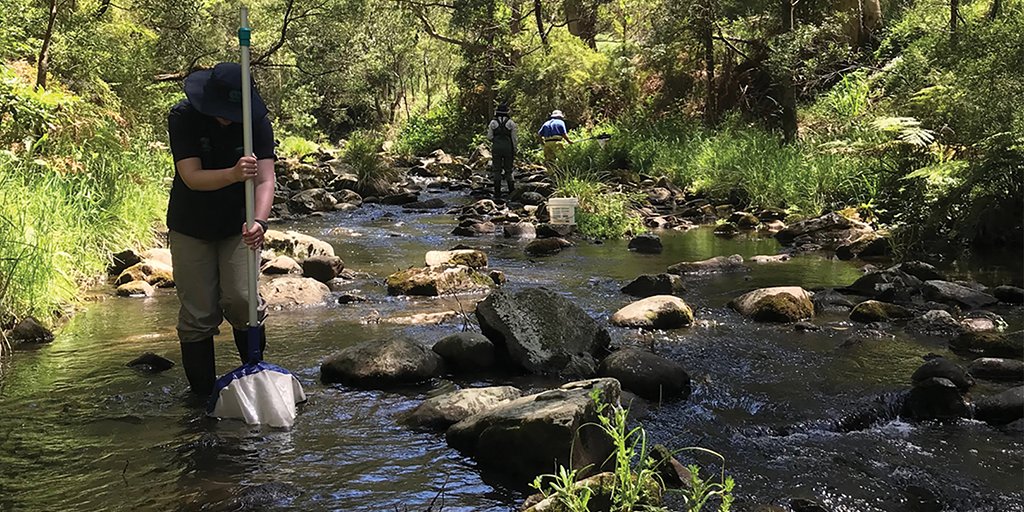 Natural Environment - Our eResearch in the #NaturalEnvironment collaborative research program spans a range of areas, including #groundwater, #soilhealth, #water and #estuaryhealth, natural resource management planning and #biodiversity cerdi.edu.au/NaturalEnviron… @FedUniAustralia