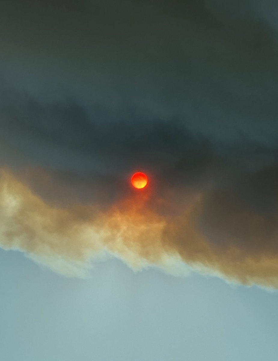 CryptoBorden.sats tweet media