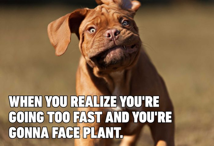 😅🐶