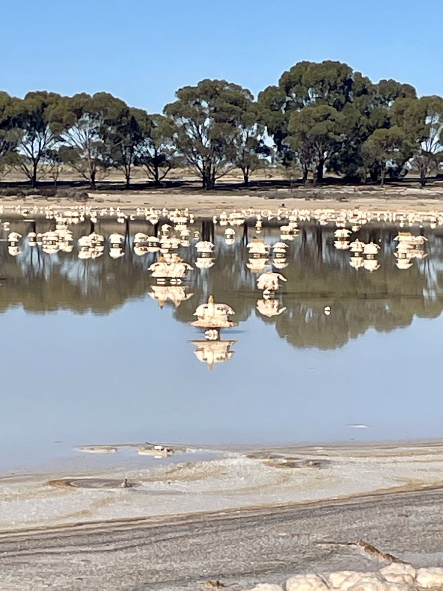 Rob Davis tweet media