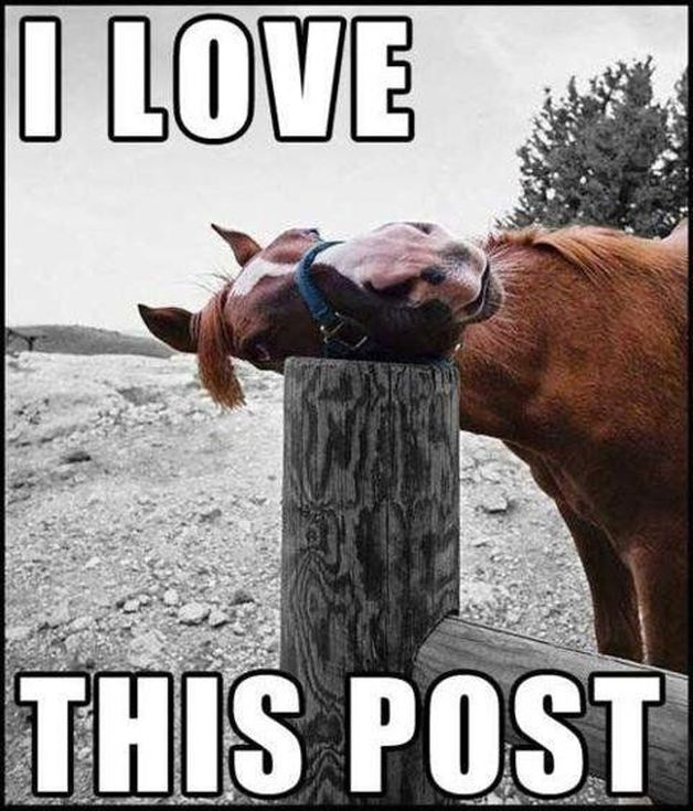 EarthsCraft (@earthscraft) on Twitter photo 