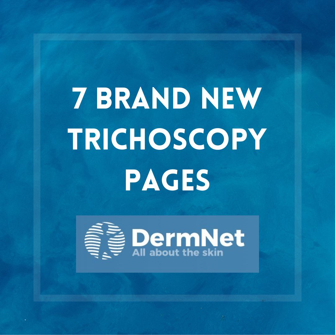 DermNet tweet media