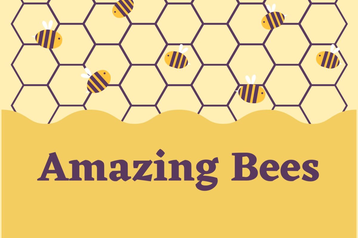 ccplonline's tweet image. Let's learn about bees! Our Children's blog has some awesome bee facts, and a ton of books about bees to introduce to your young ones!
Read More Here: ow.ly/KcXU50Oy9xc
#CCPLOnline #LibraryBlog #ChildrensBooks #BookList