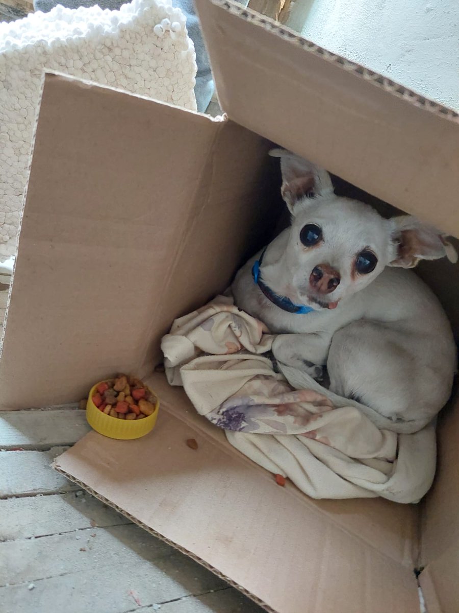 Se busca a su familia...AYUDA! 
Se encontró por Oriente 110 y Av 5

Inf : 5532058611