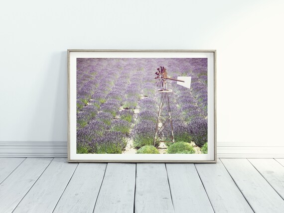 Lavender Farm Fine Art Photography Print for etsy.me/3JXRBea #botanicalprint #flowerwallart #shabbychicdecor #cottagecoredecor @etsymktgtool