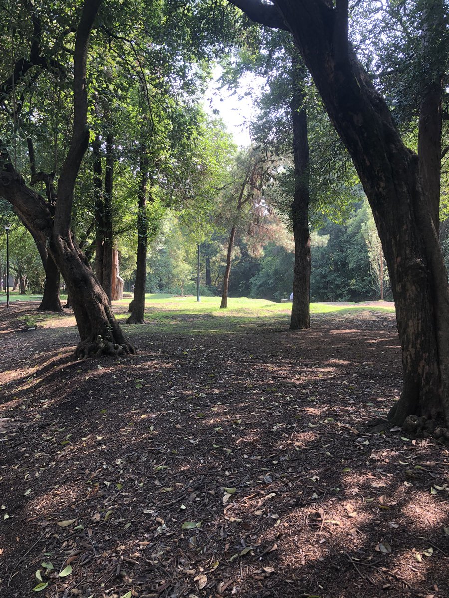 chemalocutor's tweet image. #chapultepec que imponente lugar, que emociones nos da…! 
Cuídate mi Chapu,te queremos ❤️, amosssss a Chapultepec 👌🏾