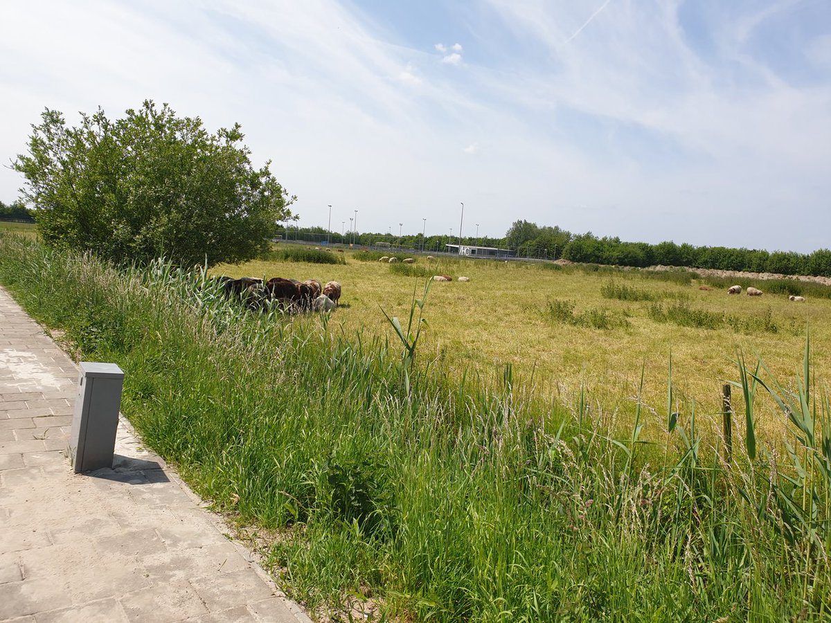 Aan alle veeboeren.
PLANT EENS BOMEN!!!!
#boeren