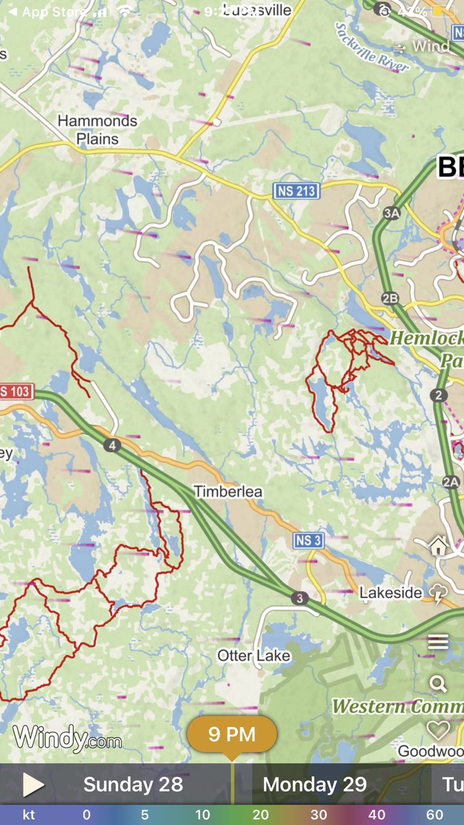 The #Windy app shows the clearest picture to me of evacuation, winds etc #halifaxfire