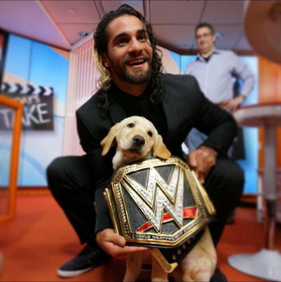 HAPPY BIRTHDAY TO THE VISIONARY SETH ROLLINS 