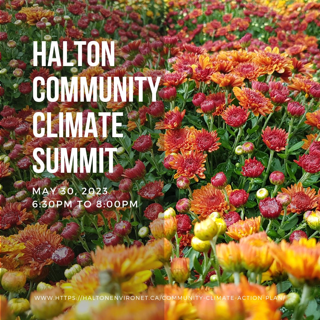 As community organizations and individuals, we have an important role to play in advancing climate action. Attend the Community Climate Summit - voice what actions are important to make a difference. bit.ly/42wMnfq