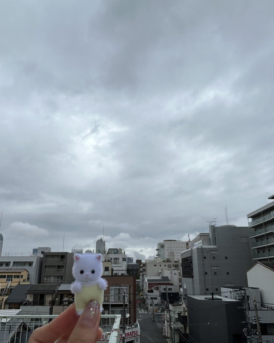 おはようございます🐱

今日の大阪の天気は曇りです。
パラパラ雨も降るみたいですね☔️

あいにくの天気ですが、1週間の始まり月曜日‼︎
無理しない程度に頑張りましょう〜✊🏻

#企業公式が毎朝地元の天気を言い合う