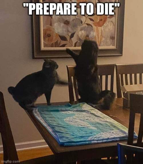 VarksRule's tweet image. 