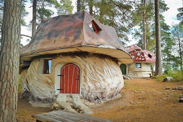 envious_fairy's tweet photo. getting on the property ladder 🍄 https://t.co/KMsL2thJpD