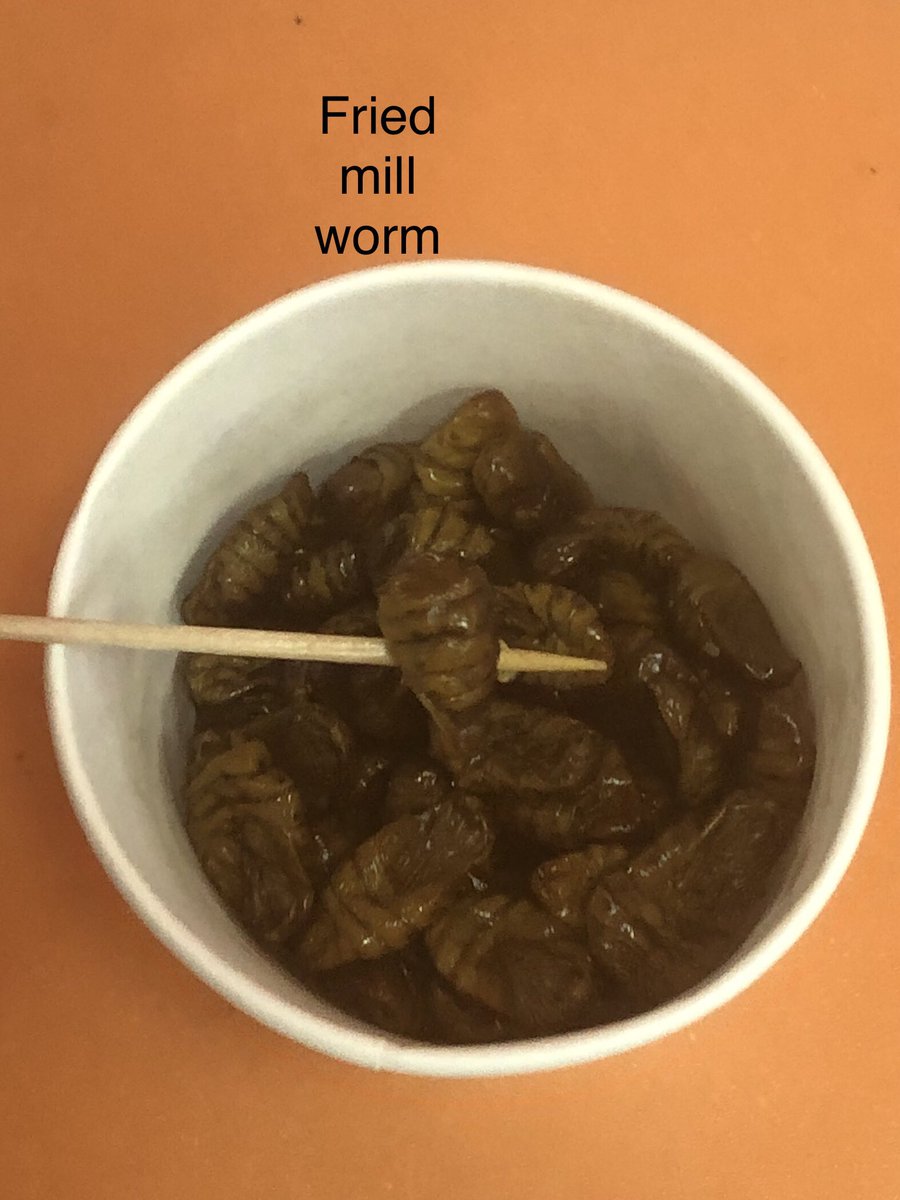 College of Education and Human Services || Abroad (@msucoehsabroad) on Twitter photo 