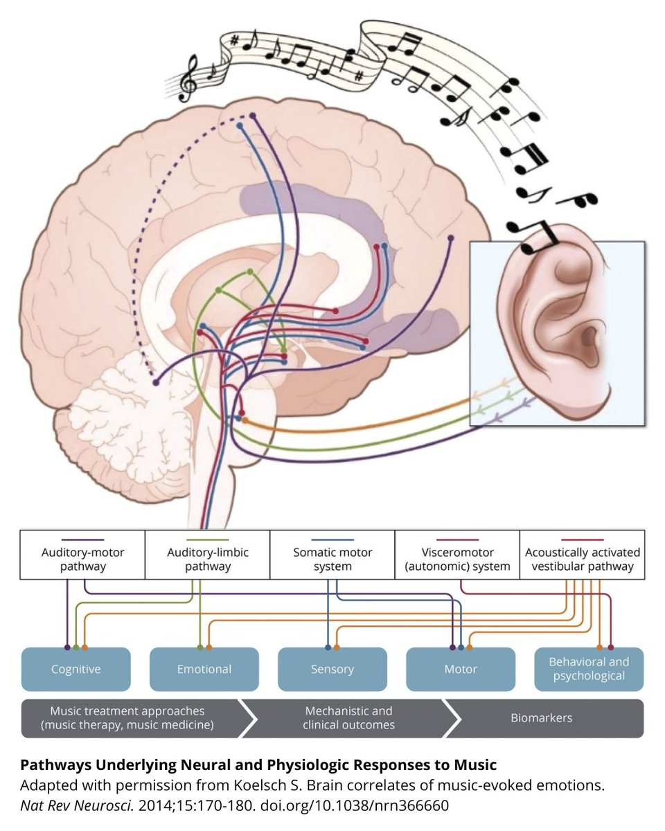 NIH Music-Based Intervention Toolkit: Music-Based Interventions for Brain Disorders of Aging bit.ly/40VaWS0 #NeuroTwitter
