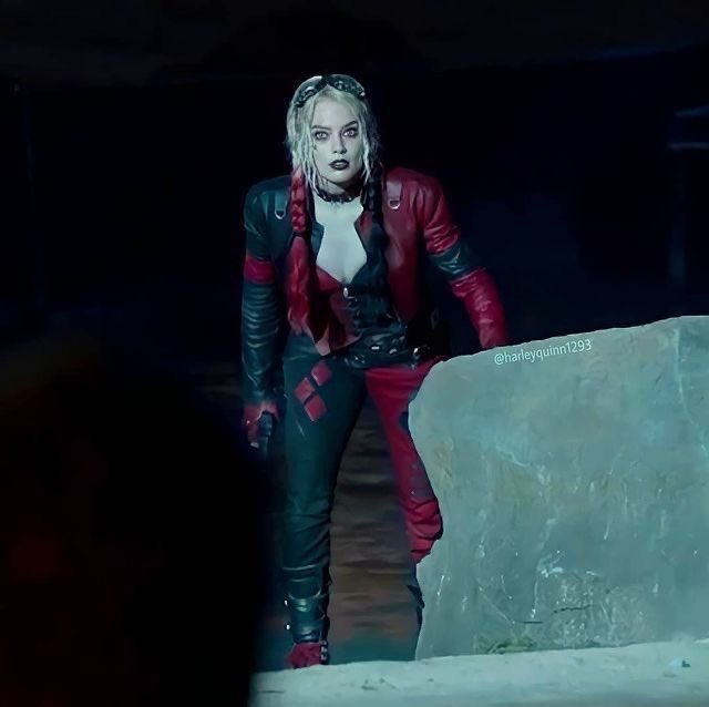 HarleyQuinnDCEU tweet picture