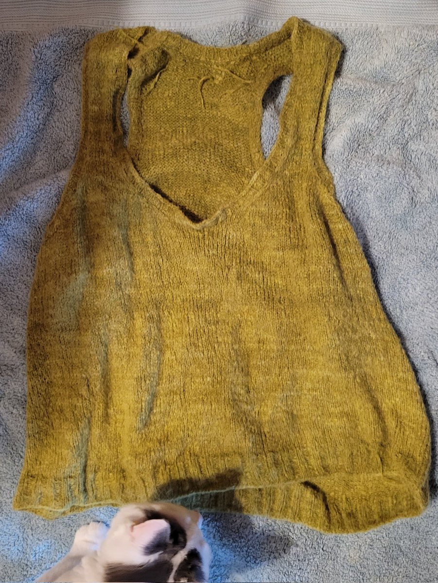 DustyAndromeda's tweet photo. ta-da!

now. do i want to do a second version in the same yarn, but with lace-y accents, or a fun pair of socks? https://t.co/PzTdOtCXpi