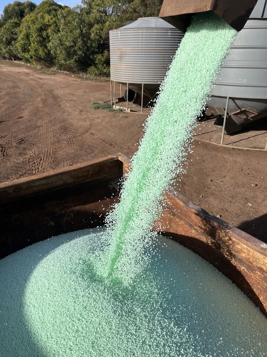 Our first load for the season of Green Urea NV is going out on the Eyre Peninsula through @BawdensRural.  This grower knows the value of protecting their nitrogen from volatilisation!

#fertilisers #eyrepeninsula