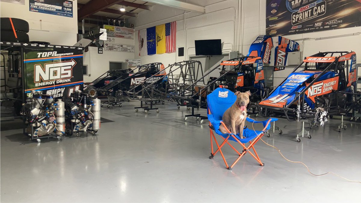 Oscar Meijer confirms there’s more wheels than doors at work, he’s gonna work on counting up to the rest of the world but thinks wheels is gonna win