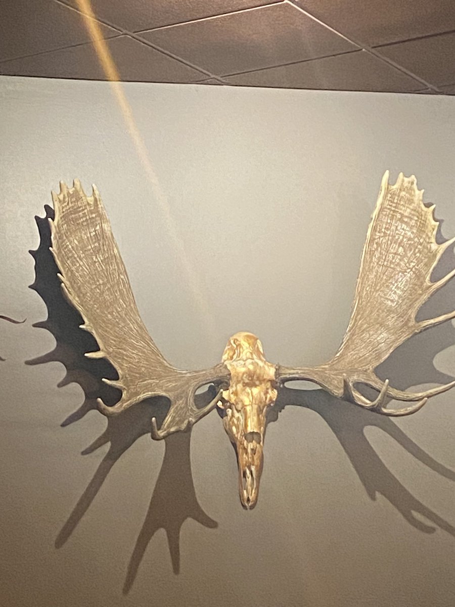 Me encontré al cuto por acá en EEUU