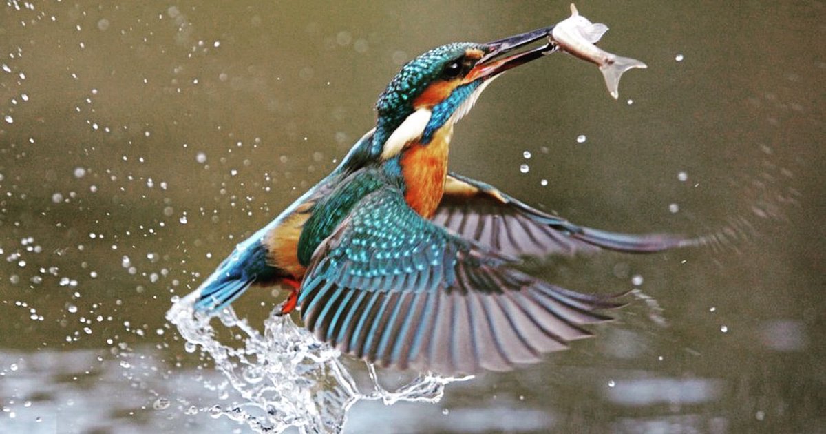 clue 2 for our play!