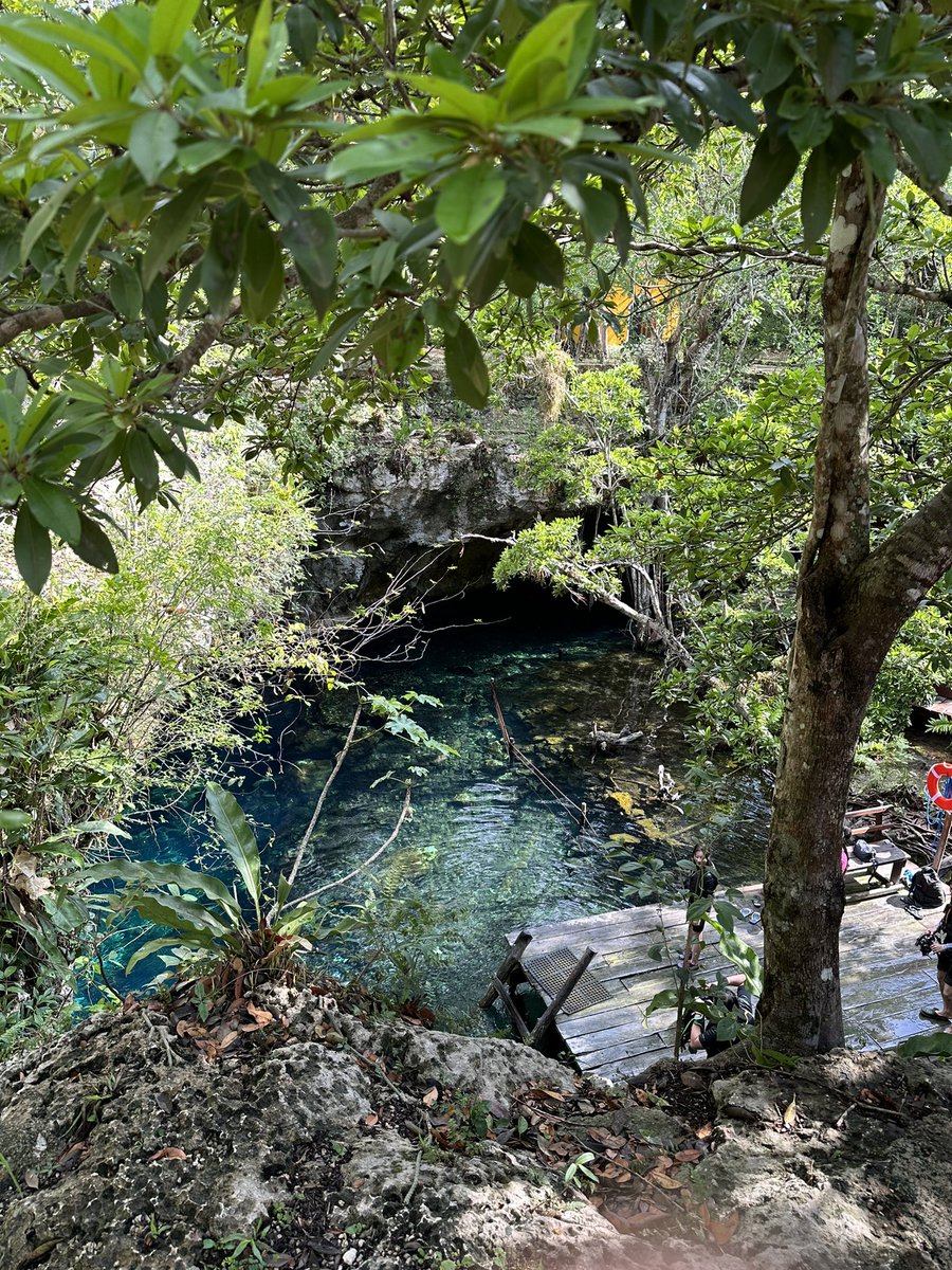 mdee1967's tweet photo. Exploring #Tulum’s cenotes https://t.co/ps55djQmXE