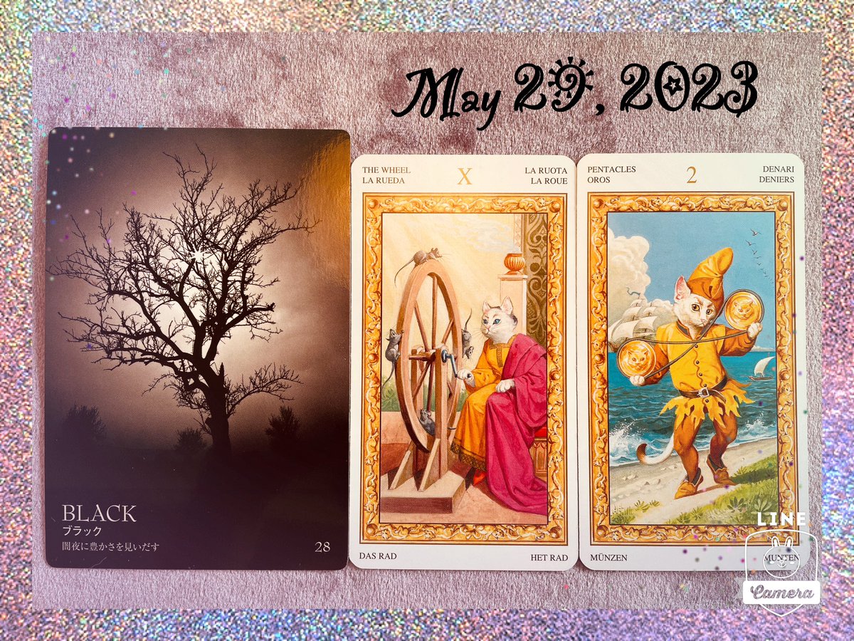 nene73's tweet image. 真夜中に深く深く考える。
選んだ道は合ってるのか？

その先に輝く光が教えてくれる。
進むべくして進んでいるよ。
大丈夫だよ〜って🥰

抗うことができない道ならば
流れに身を任せてみよう🕊️

揺られながらも
微調整を忘れずに！
上手くバランスを保っていこう✨

#タロット
#colorcard🖤