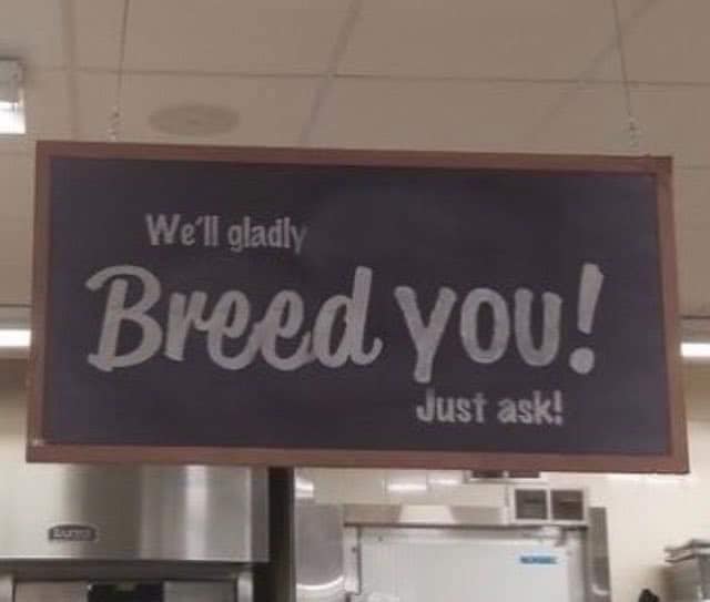 KuuArubin0's tweet image. you&apos;ll WHAT