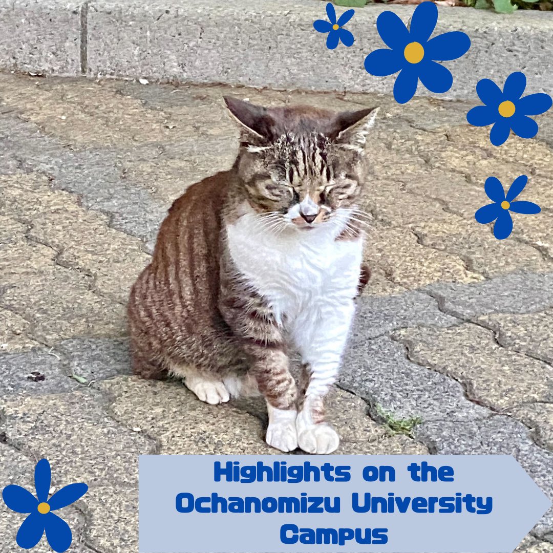 ochasummer8's tweet photo. 【Highlights on the Ochanomizu University Campus】

Hello🌼Today we will show you three campus landmarks! https://t.co/t3a6Bu2vIx