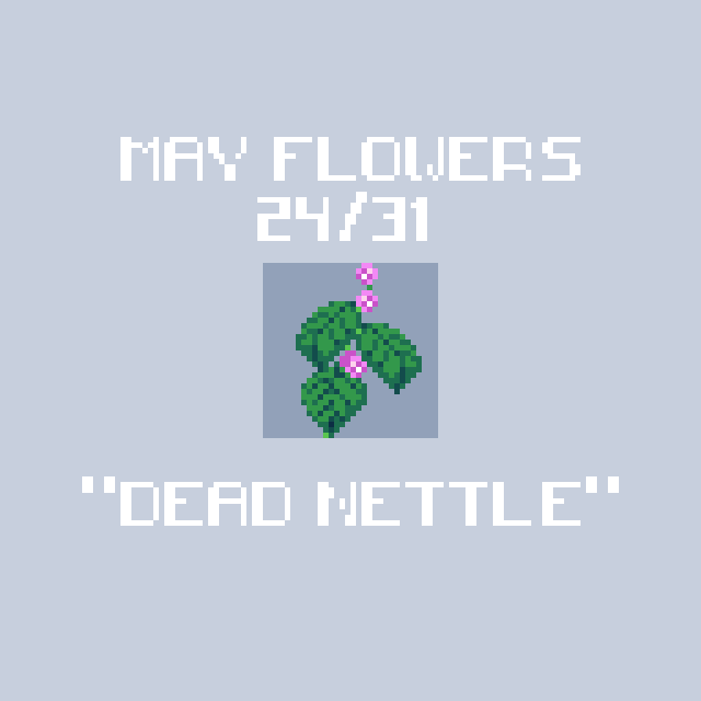 griloviscky's tweet photo. A #deadnettle #flower for @AquaticsGrl's
#MayFlowers (24/31) #Acuacult #MayFlowers2023 #trovolive #ドット絵 #pixelart #pixelartist #trovolovers https://t.co/ptb59dvoxb