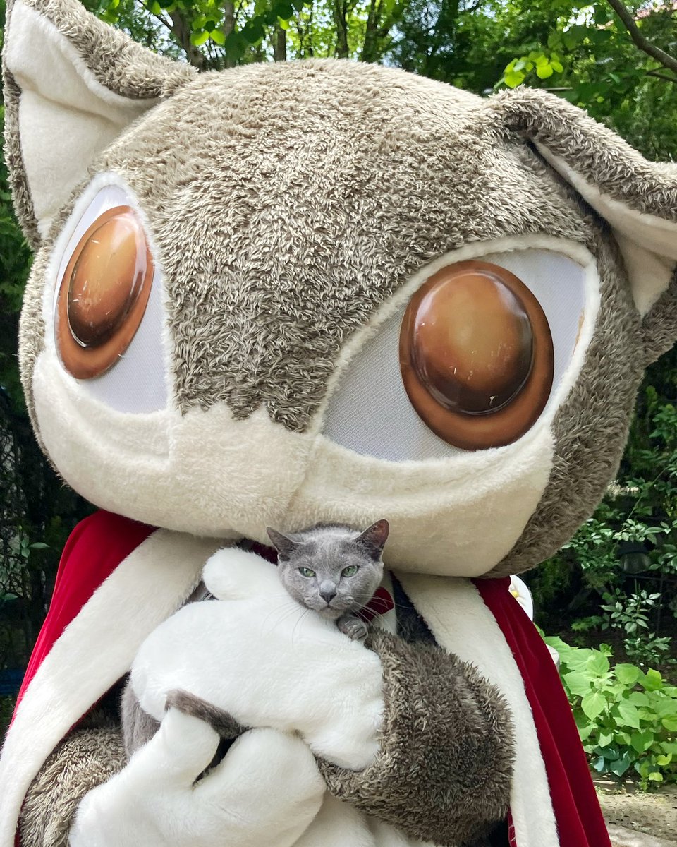 格安SALEスタート! 新ダヤンとジタンぬいぐるみ ぬいぐるみ - gdfti.com